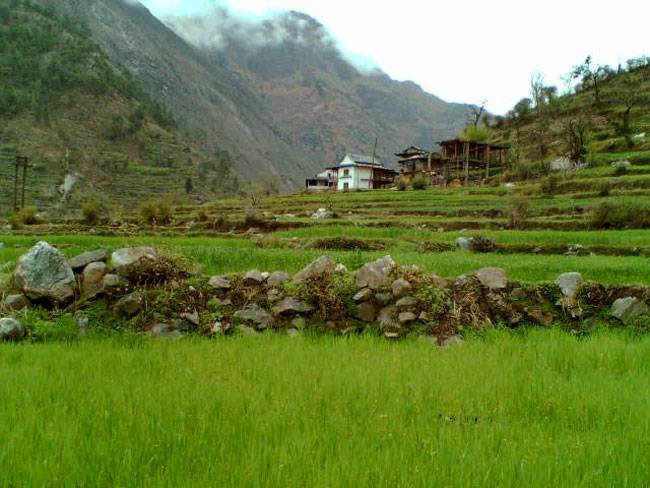 इन जगहों का तापमान 25 ड‍िग्री से ऊपर नहीं जाता...