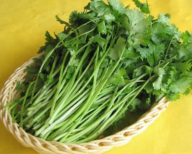 रोज का बस एक उपाय, रखेगा जीवन में सुख और पैसा बनाए