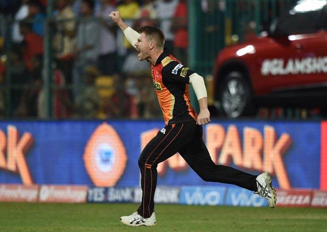 IPL-9 का चैंपियन बना हैदराबाद, फाइनल में एक बार फिर पिटा बैंगलोर