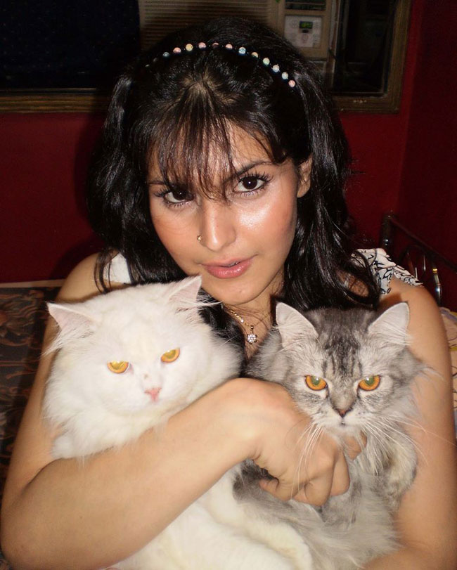 खूबसूरत एक्ट्रेस जरीन खान के बर्थडे पर देखें उनकी चुनिंदा तस्‍वीरें