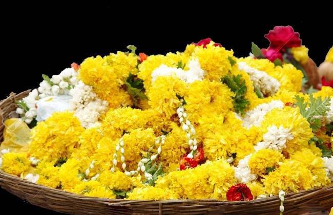 सुख-शांति के लिए गुरुवार को केले के पेड़ पर क्या चढ़ाएं...