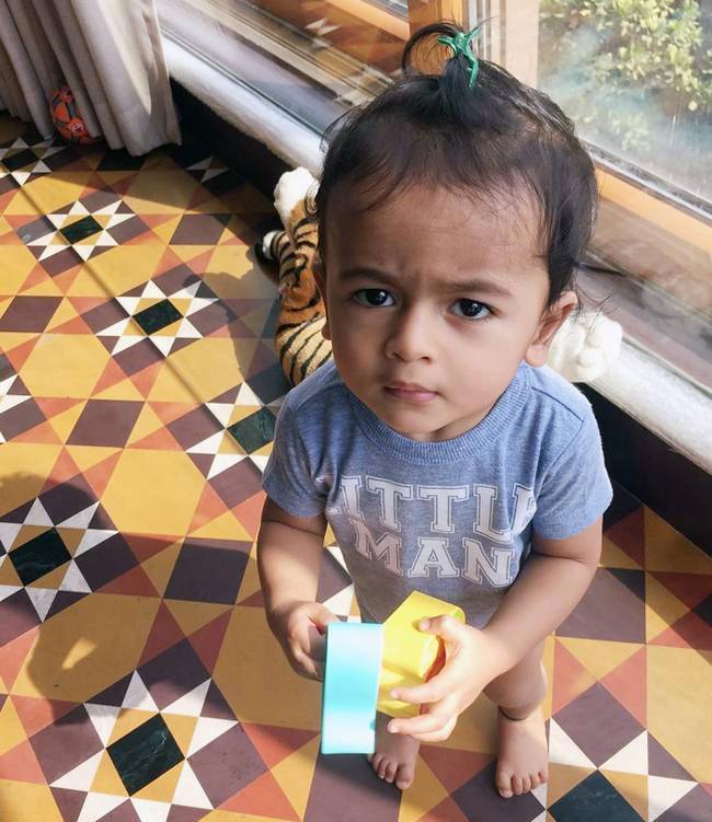 रितेश-जेनेलिया से लेकर अर्जुन-धोनी तक इंस्टाग्राम पर छाए सितारे