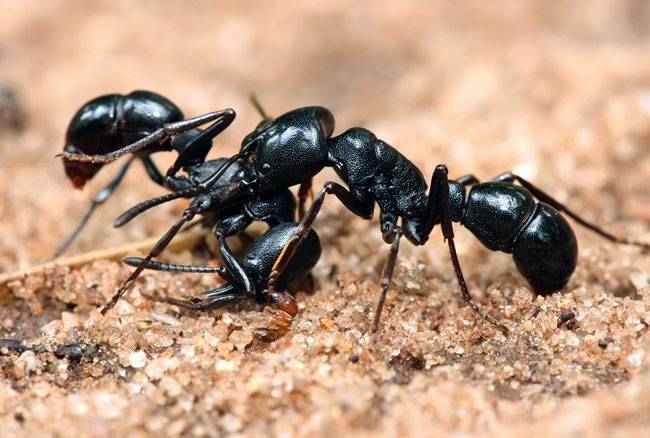 क्या आपको पता हैं सिरके के ये 7 बेमिसाल इस्तेमाल...