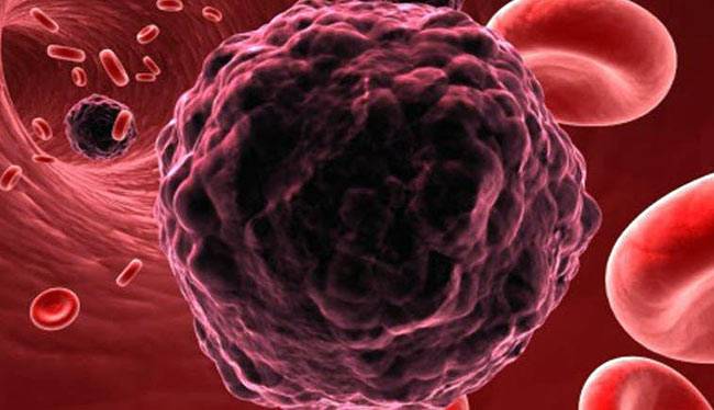 सेहत के लिए कमाल है लीची...