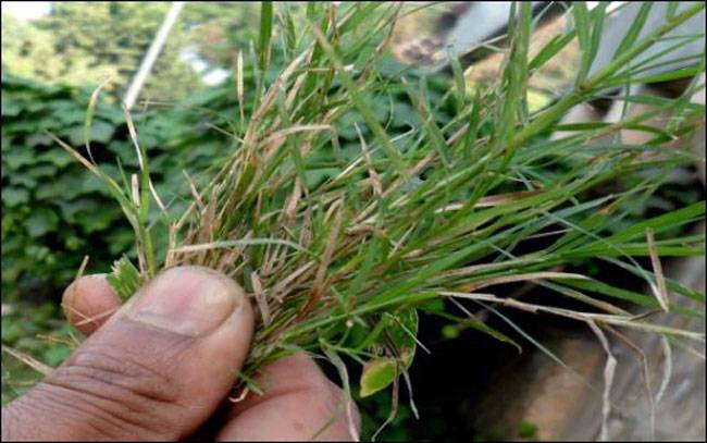 हमेशा याद रखें पूजा करने के ये 12 नियम...