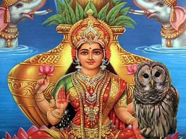 जानें, भगवान विष्णु क्‍यों करते हैं गरुड़ की सवारी...