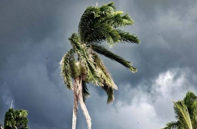 1 जून 2016: तस्वीरों में देखिए दिनभर की बड़ी खबरें