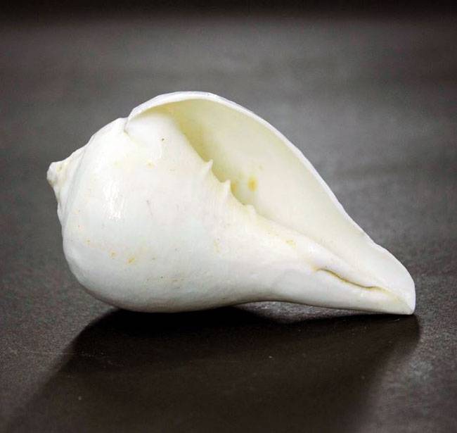 हमेशा याद रखें पूजा करने के ये 12 नियम...