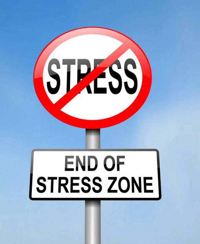 साइकिल चलाएं, सेहत बनाएं...