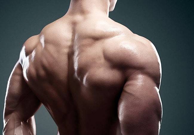 साइकिल चलाएं, सेहत बनाएं...