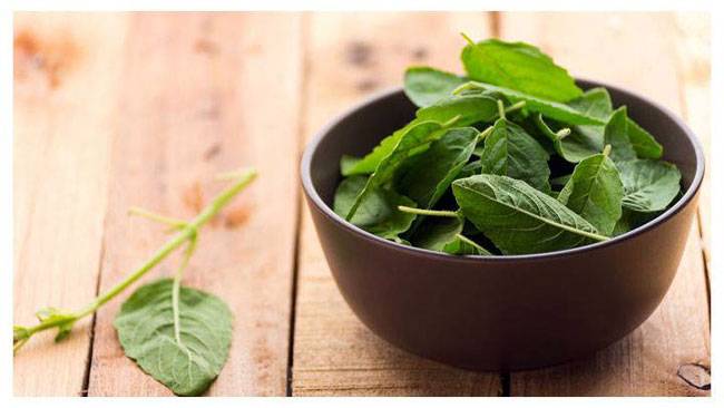 हमेशा याद रखें पूजा करने के ये 12 नियम...