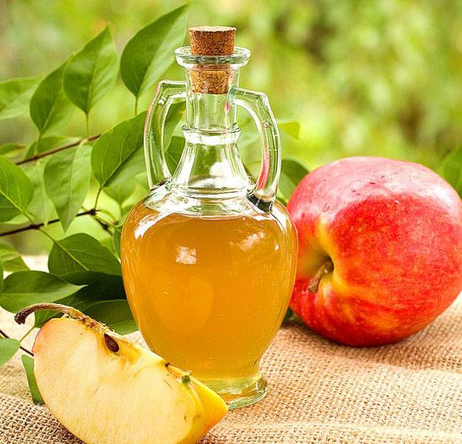 नीम और नारियल, जानें क्या कमाल कर सकते हैं...