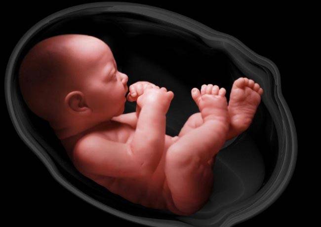 गर्भवती हैं तो रोज जरूर खाएं तुलसी की पत्ति‍यां...