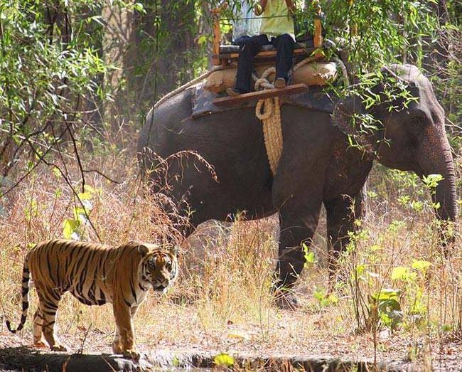 MP गजब है, सबूत इधर है...