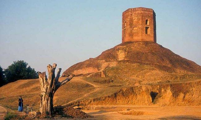 MP गजब है, सबूत इधर है...