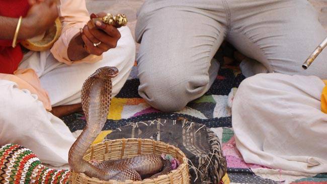 मानसून में लगती है इन त्योहारों की झड़ी...