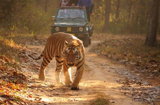 MP गजब है, सबूत इधर है...