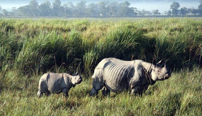 यहां देखें भारत की वर्ल्ड हेरिटेज साइट्स की झलक