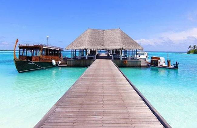 मालदीव में मलाइका का Bold अंदाज