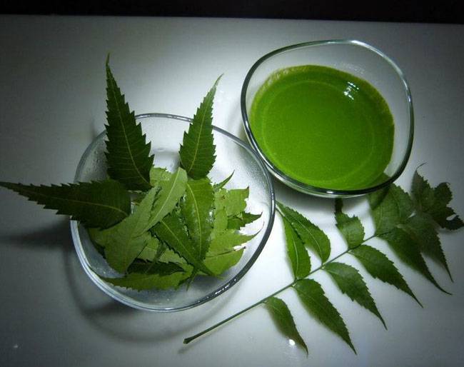 नीम और नारियल, जानें क्या कमाल कर सकते हैं...