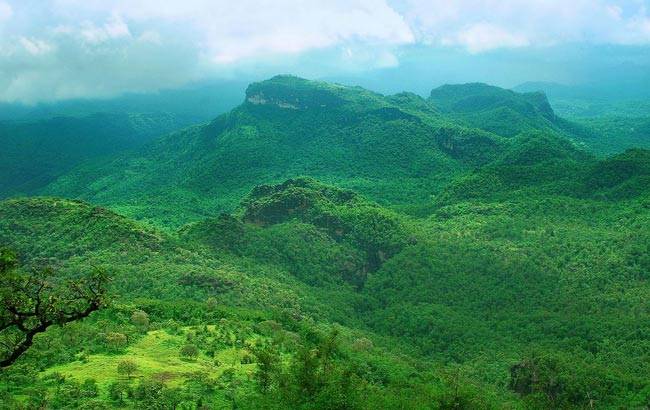 MP गजब है, सबूत इधर है...