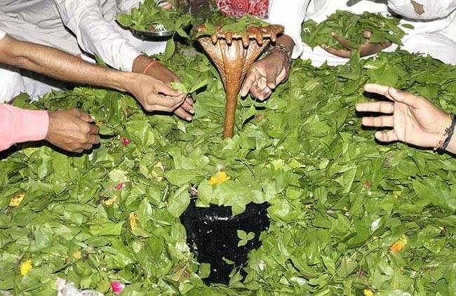 10 तरीके सावन में श‍िव जी को प्रसन्न करने के...