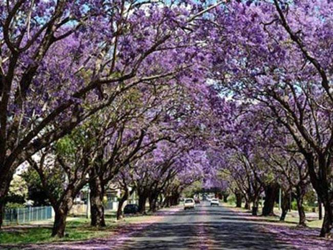 ये हैं दुनिया की सबसे खूबसूरत गलियां और सड़कें...