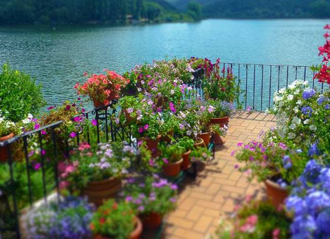 ये हैं दुनिया की सबसे खूबसूरत गलियां और सड़कें...