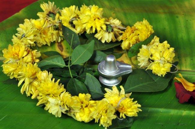 10 तरीके सावन में श‍िव जी को प्रसन्न करने के...