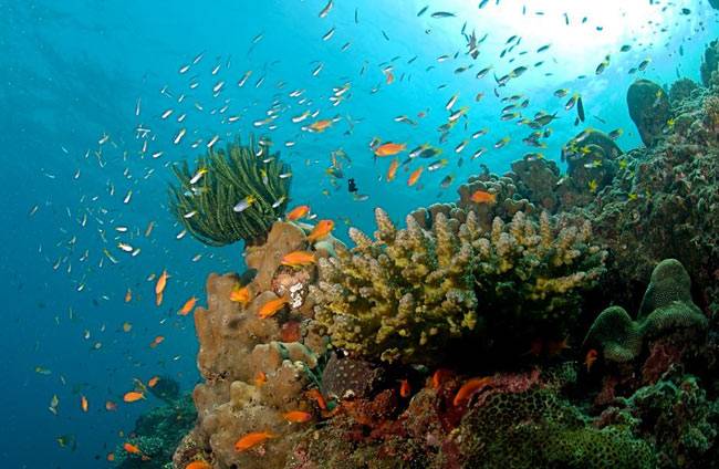 देश की इन जगहों पर देखें विदेश की खूबसूरती...