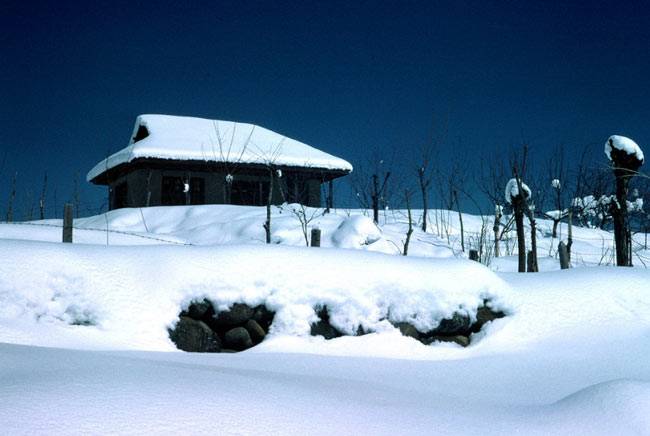 देश की इन जगहों पर देखें विदेश की खूबसूरती...