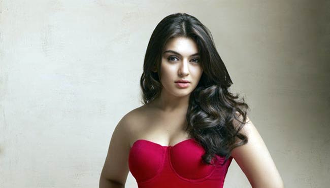 हंसिका मोटवानी के बर्थडे पर देखें अनदेखी तस्वीरें...