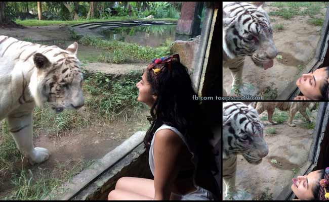 देखें, बर्थडे गर्ल तापसी पन्नू की अनदेखी तस्वीरें...