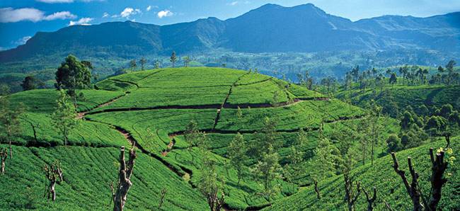 श्रीलंका की इन जगहों को देखकर हैरान रह जाएंगे...