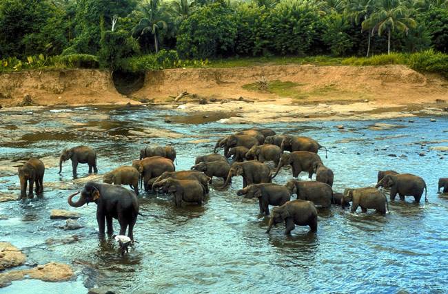 श्रीलंका की इन जगहों को देखकर हैरान रह जाएंगे...