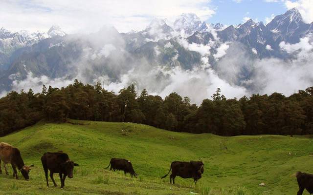 कम खर्च पर किस मौसम में कहां घूमें...