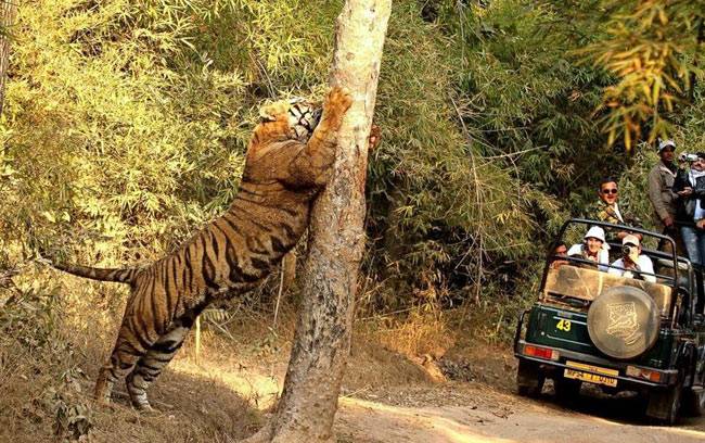 इन 8 जगहों पर बिता सकते हैं एडवेंचर भरी छुट्टियां...