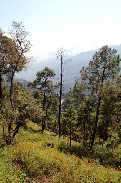 नैसर्गिक सौंदर्य से परिपूर्ण है हिमाचल प्रदेश