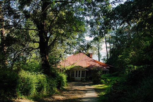 नैसर्गिक सौंदर्य से परिपूर्ण है हिमाचल प्रदेश