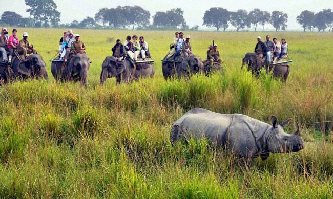 इन 8 जगहों पर बिता सकते हैं एडवेंचर भरी छुट्टियां...
