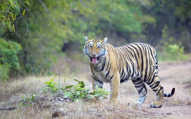 कम खर्च पर किस मौसम में कहां घूमें...