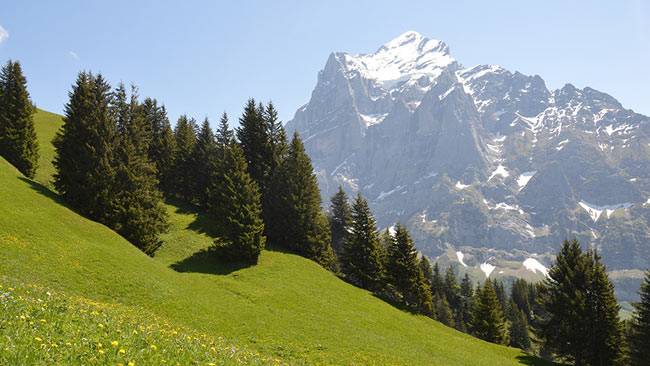 इन 8 जगहों पर बिता सकते हैं एडवेंचर भरी छुट्टियां...