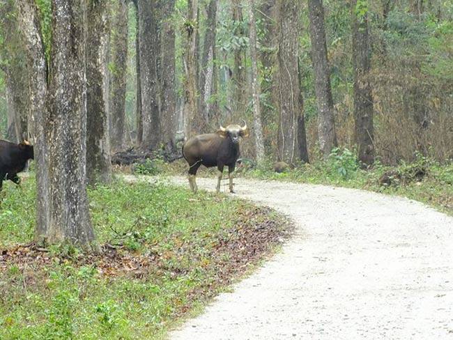 भारत के 10 रास्ते जहां भूत घूमते हैं...
