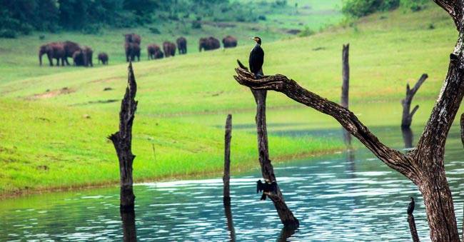 कमाल का है केरल, कितना है देखा है आपने...