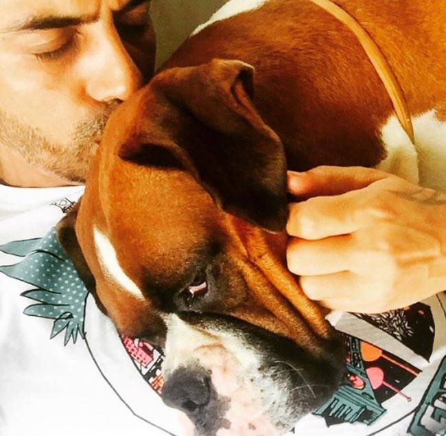 #WorldAnimalDay पर मि‍लिए बॉलीवुड स्टार्स के Pets से