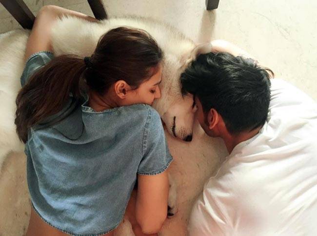 #WorldAnimalDay पर मि‍लिए बॉलीवुड स्टार्स के Pets से