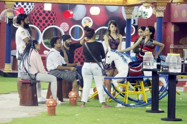 Bigg Boss 10: जानिए क्या हुआ बिग बॉस हाउस में 5वें दिन