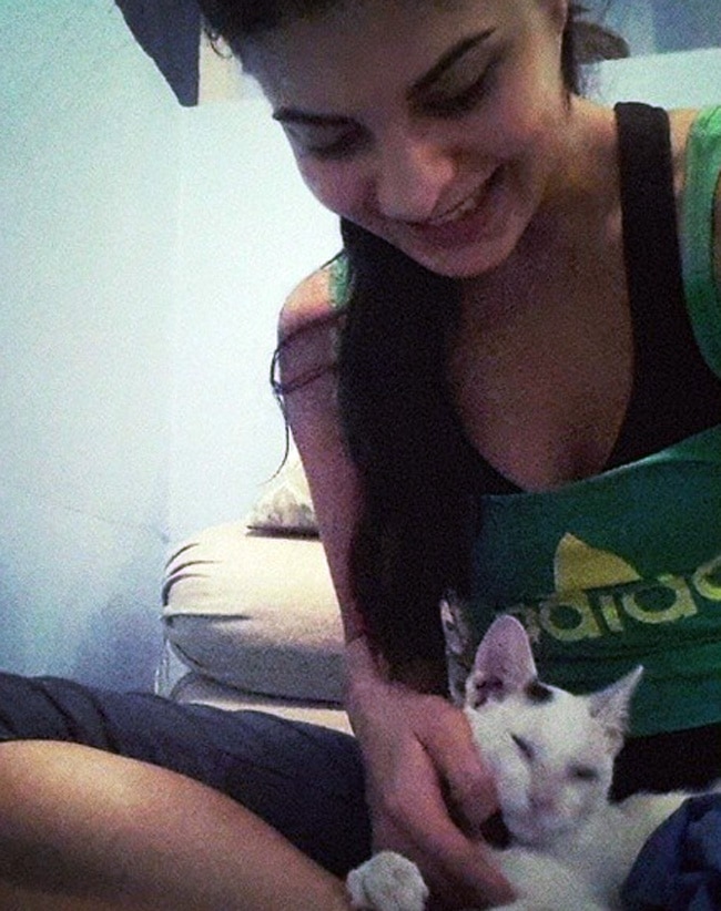 #WorldAnimalDay पर मि‍लिए बॉलीवुड स्टार्स के Pets से