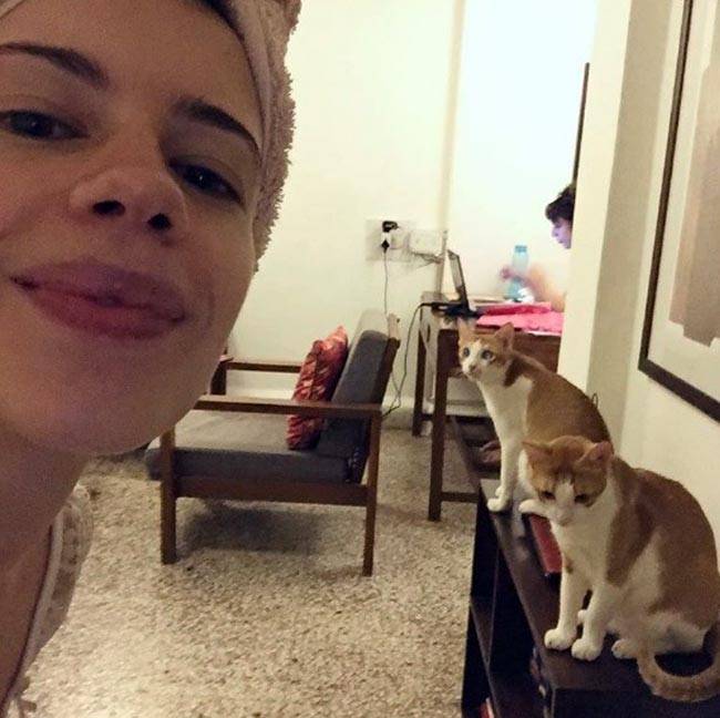 #WorldAnimalDay पर मि‍लिए बॉलीवुड स्टार्स के Pets से