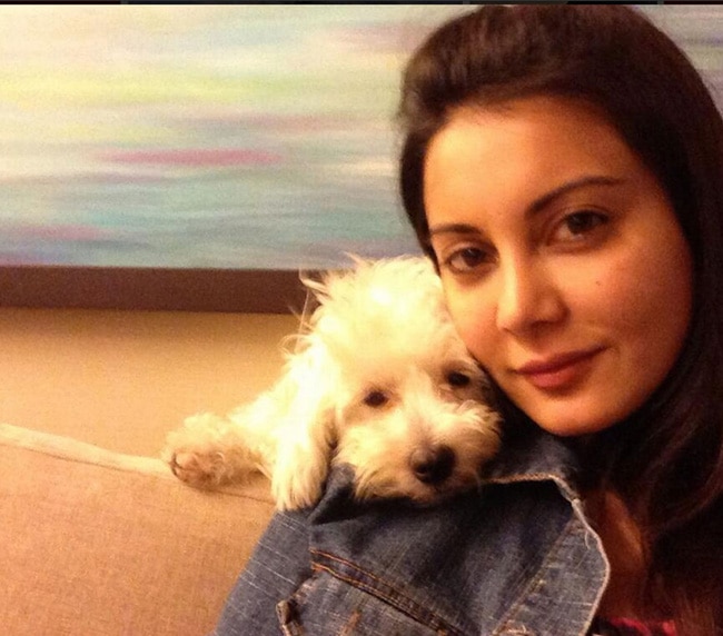 #WorldAnimalDay पर मि‍लिए बॉलीवुड स्टार्स के Pets से